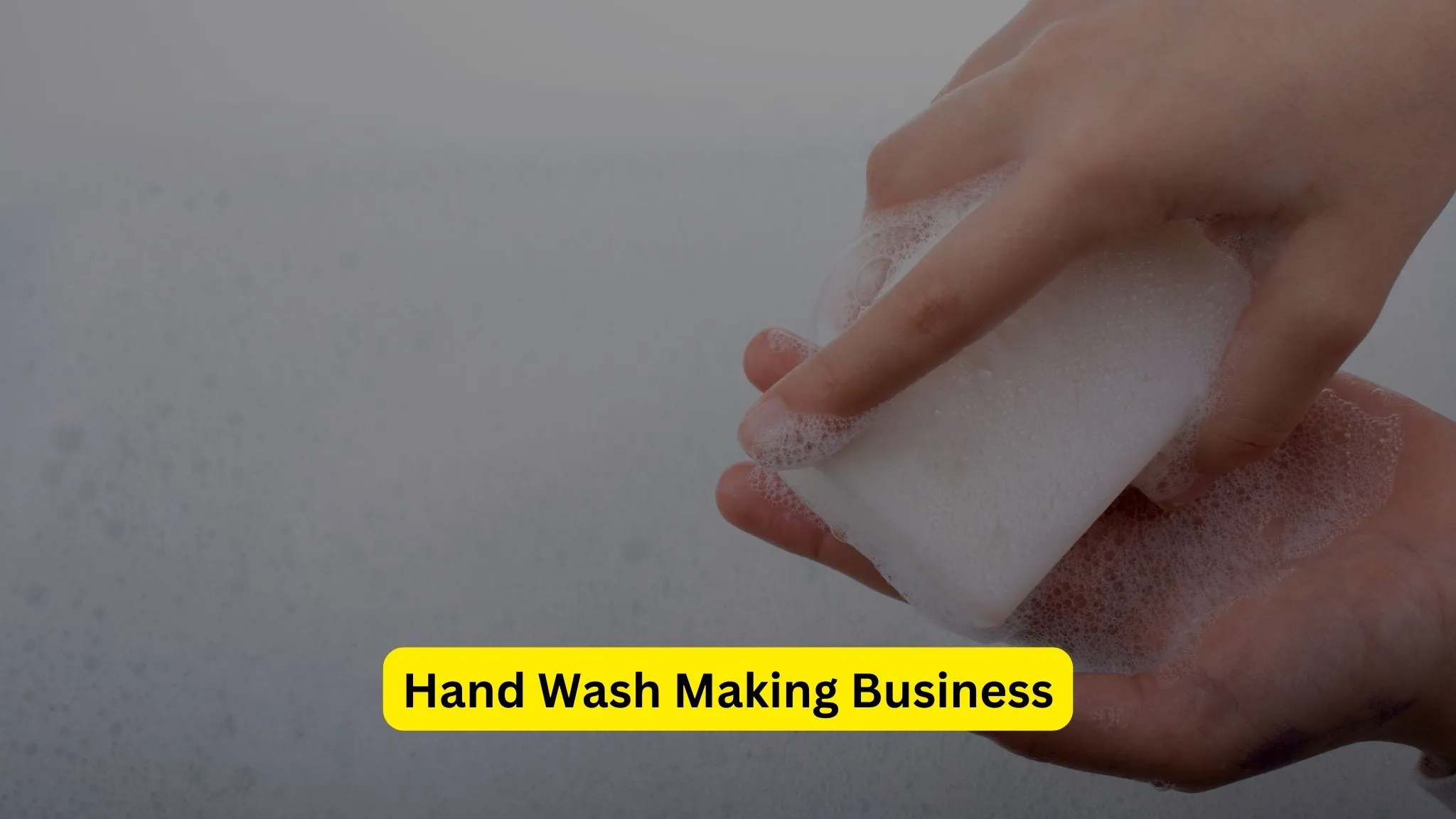 Hand Wash Making Business
