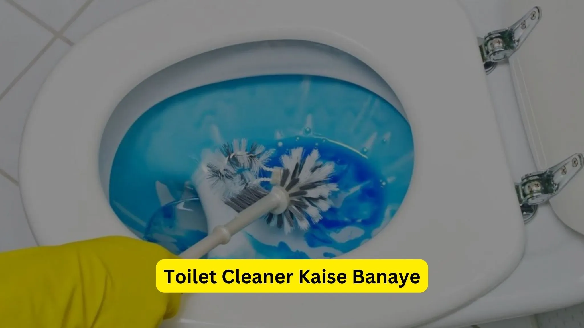 Toilet Cleaner Kaise Banaye